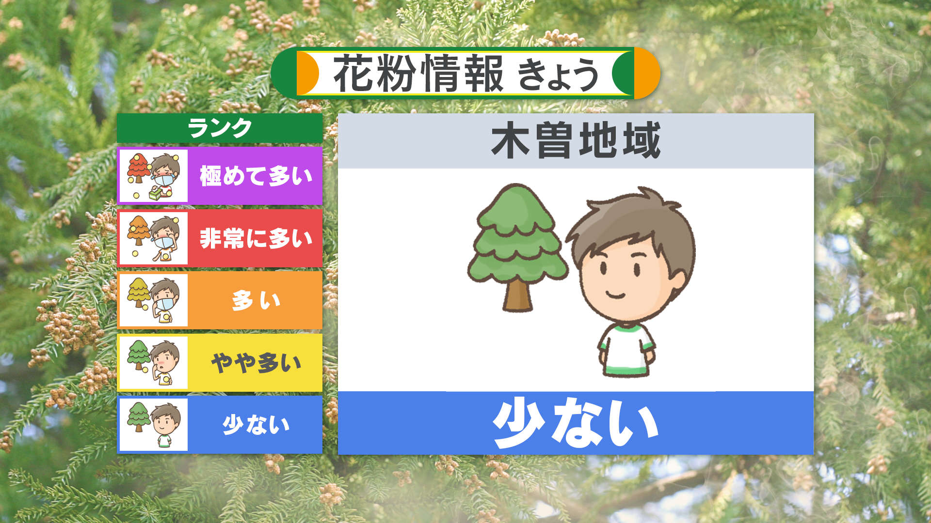 花粉情報きょう